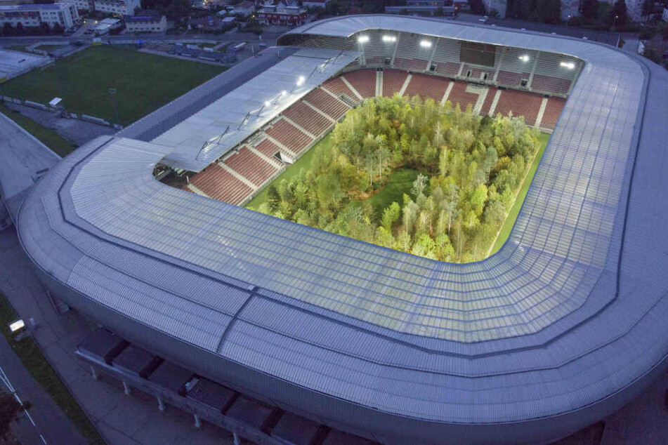 Das Stadion mit den 299 Bäumen aus der Vogelperspektive.