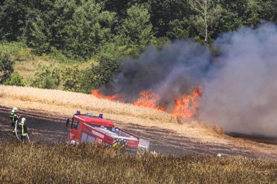Bei Kreischa geriet während Mäharbeiten dieses Gerstenfeld in Brand. Auf einer Fläche von drei Hektar wurde das Getreide ein Raub der Flammen.