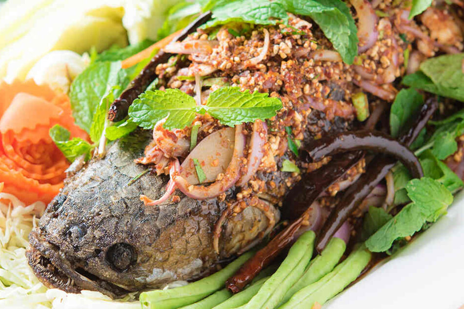In Thailand offenbar ein beliebtes Lebensmittel: Frittierter Schlangenkopffisch mit Kraut und würziger Soße.