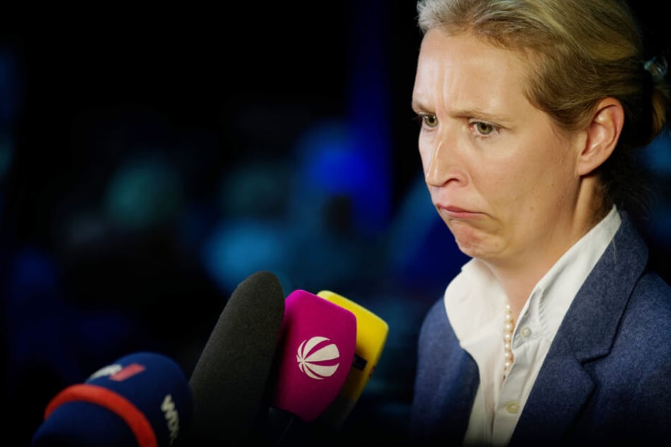 Die Besuchergruppe stammt aus dem Wahlkreis von Alice Weidel.