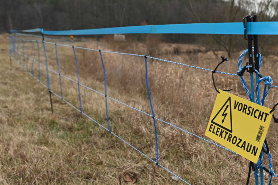 Vorsicht: Der Zaun steht unter Strom!