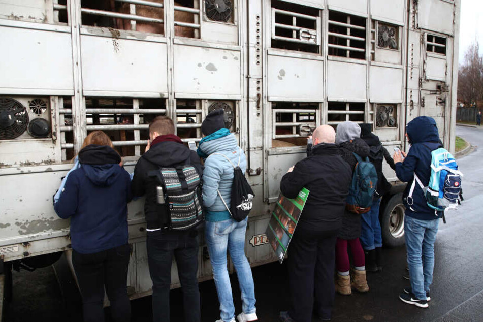 Bevor die Schweine weggefahren wurden, verabschiedeten sich die Aktivisten.