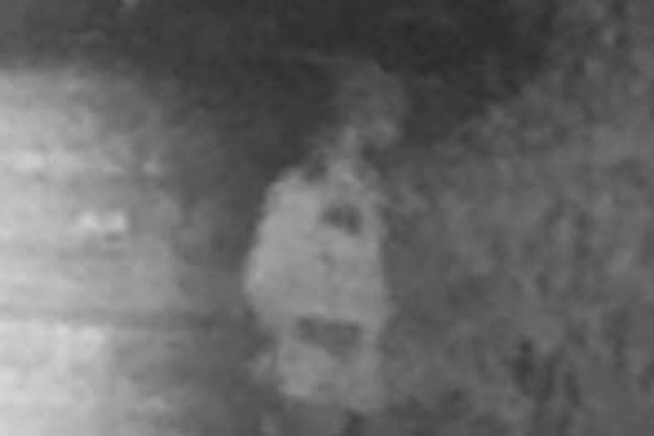 Mit diesem Fahndungsbild sucht die Polizei nach dem Täter.
