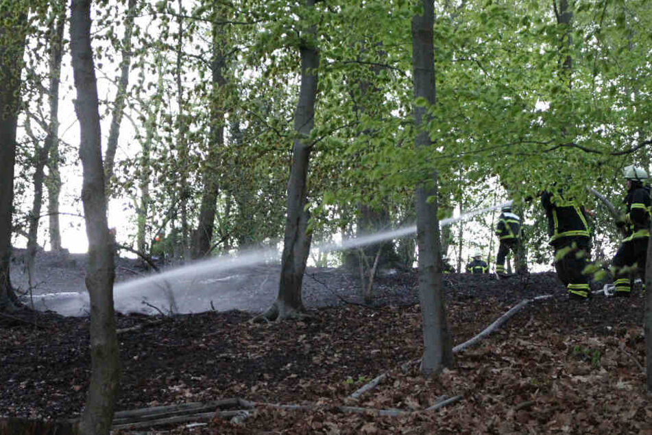 Feuerwehrleute löschen den Waldbrand am Außenmühlenteich in Harburg.