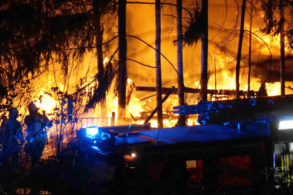 Die Gartenhütte brannte bei dem Feuer vollständig ab.