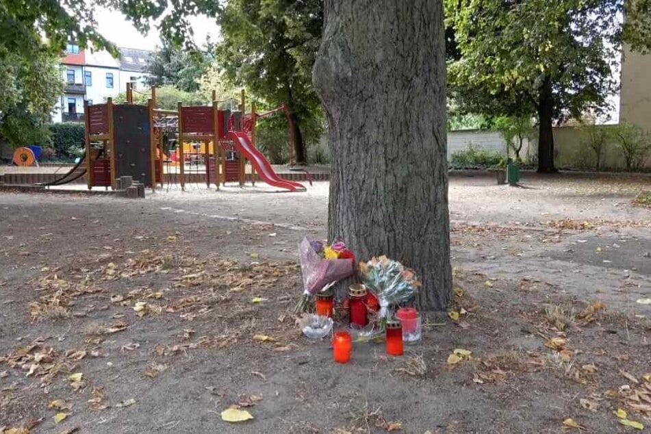 In diesem Park in Köthen ereignete sich der tragische Vorfall.