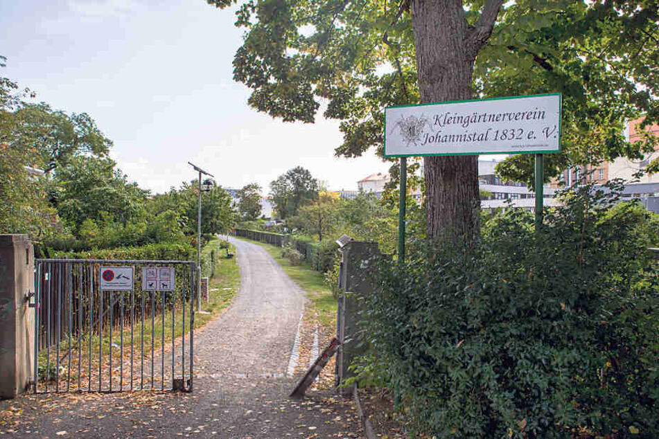 "Johannistal 1832" in Leipzig ist Sachsens ältester Kleingartenverein.