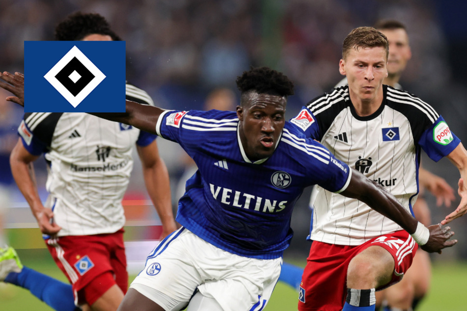 HSV-Spektakel gegen Schalke: So liefen die Debüts der Neuzugänge