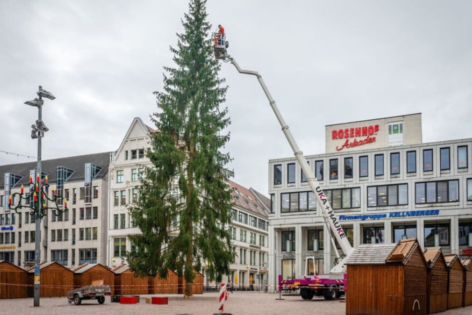 Gegen 16.30 Uhr wird der diesjährige Weihnachtsbaum in Chemnitz empfangen. (Archivbild)