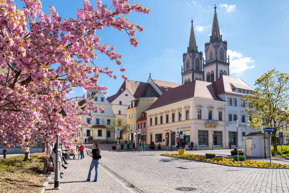 Die Veranstalter planten mit 50.000 Besuchern: Blumenstadt Oschatz mit der St. Aegidien-Kirche, wo 2006 die Landesgartenschau stattfand.