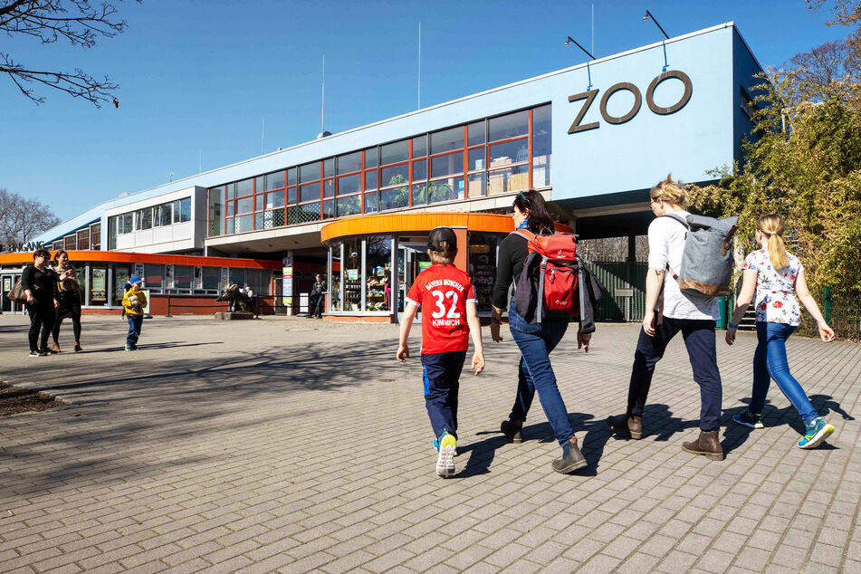 Der Zoo darf nur noch seinen Außenbereich öffnen.
