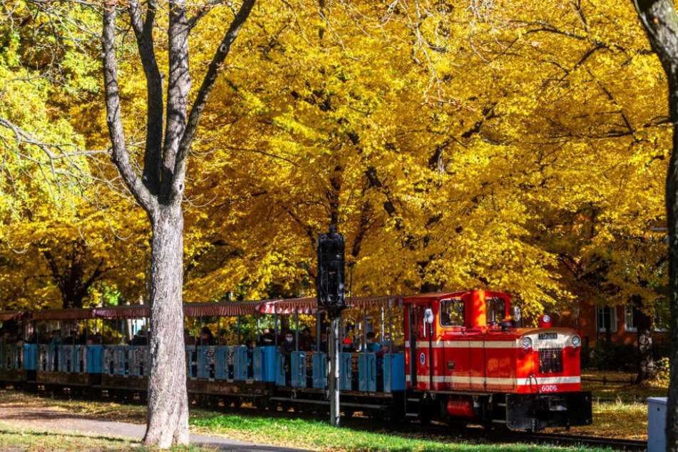 Passend zu Halloween erwartet Euch im Küchwald ein buntes Programm.