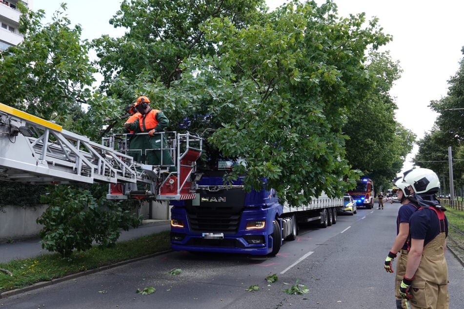 Die Feuerwehr trug den Baum nach und nach ab, um den Lkw zu befreien.