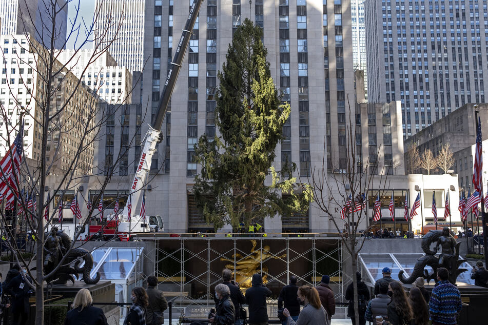 Eine knapp 23 Meter lange Fichte wurde am Samstag am Rockefeller Center in New York aufgestellt. An dem traditionellen Weihnachtsbaum sollen in diesem Jahr trotz der Corona-Pandemie die Lichter angezündet werden.