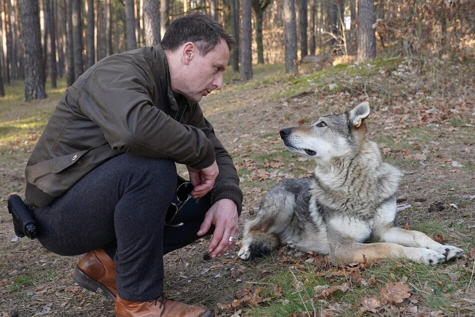 Tiefe Blicke in die Augen.