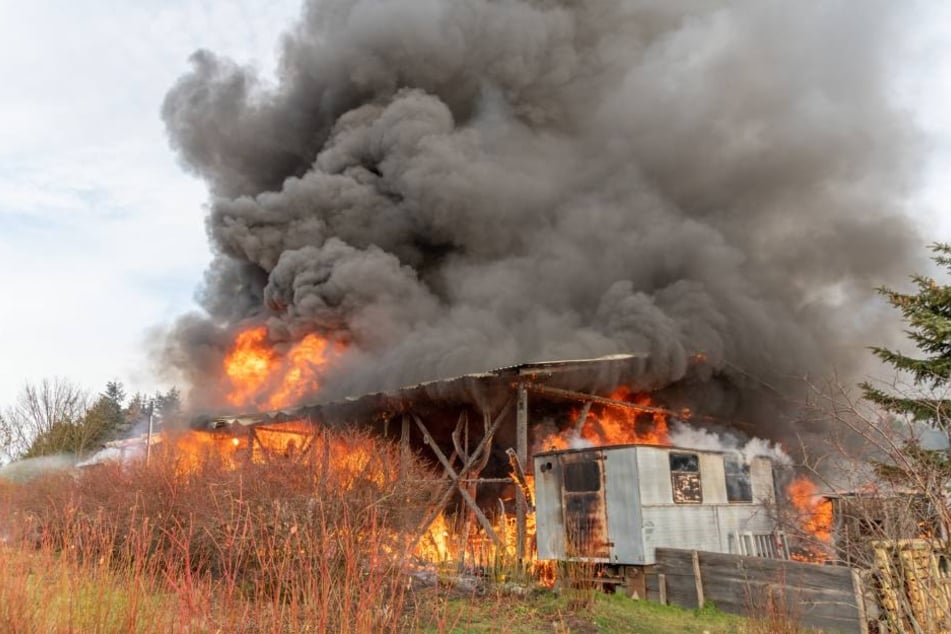 Die Lagerhalle stand komplett in Flammen.