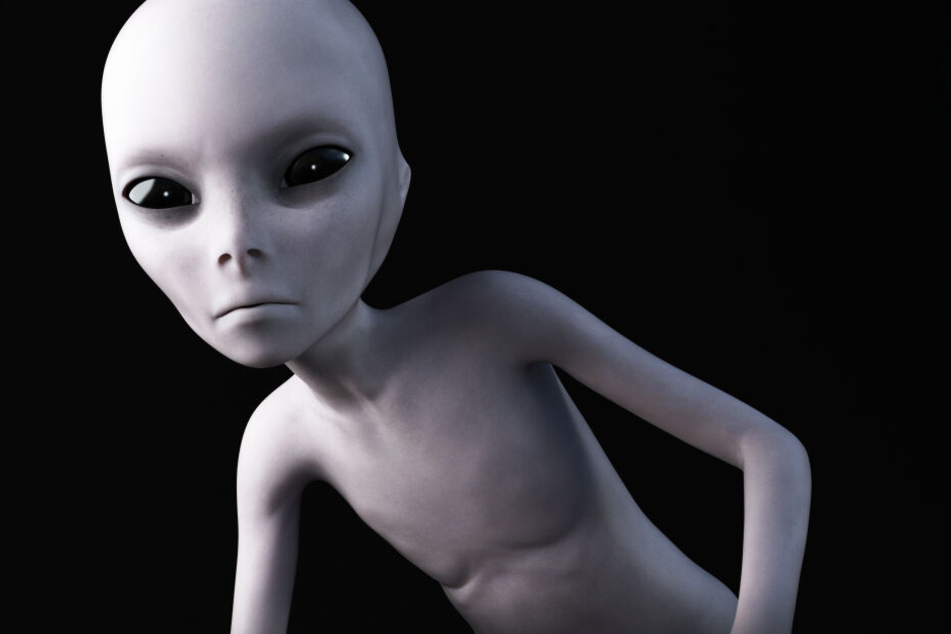 Aliens wurden bei der Suche nicht entdeckt.