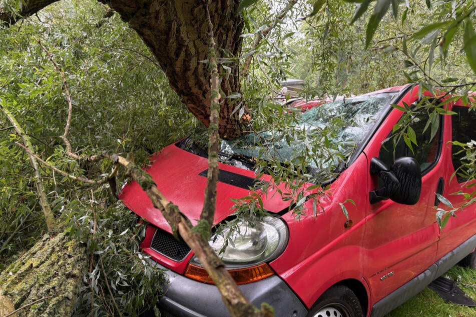 In Ratzeburg sorgte ein umgestürzter Baum für einen Feuerwehreinsatz.