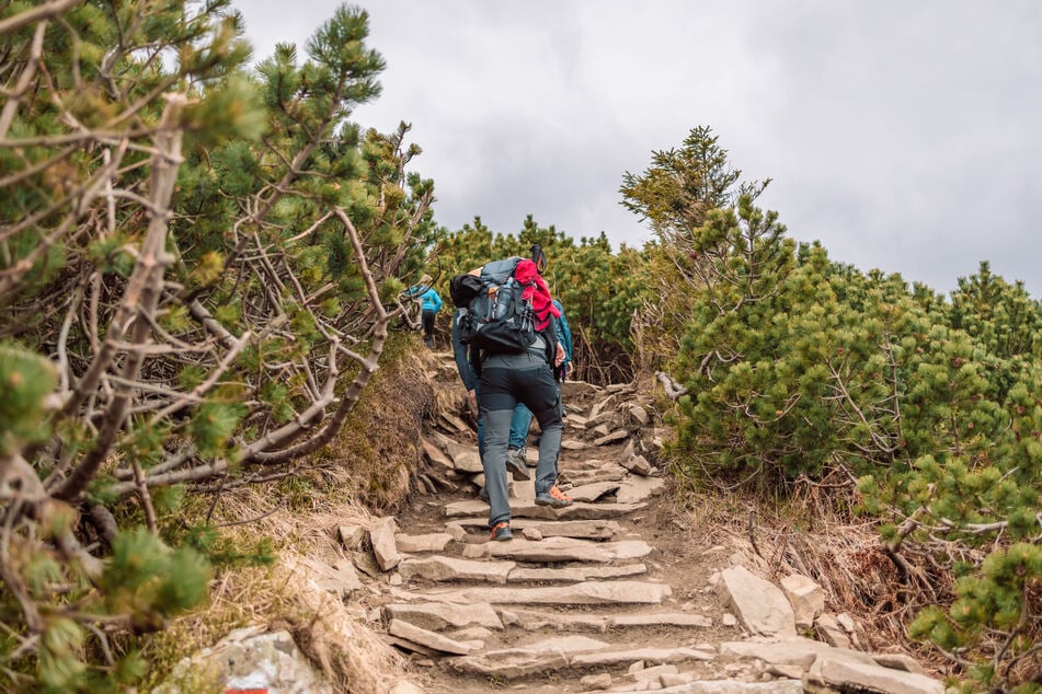 Lust zu wandern? (Symbolfoto)