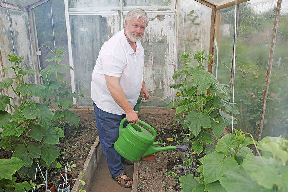 Seit 2011 leitet Frank Hoffmann (59) den Stadtverband "Dresdner Gartenfreunde" mit fast 50 000 Kleingärtnern in 361 Vereinen.