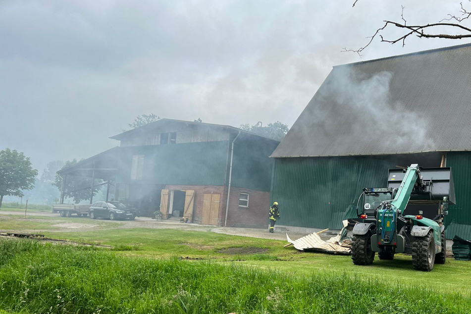 Die Feuerwehr verschaffte sich Zutritt zu der Scheune und rettete die dort eingesperrten rund 60 Tiere.