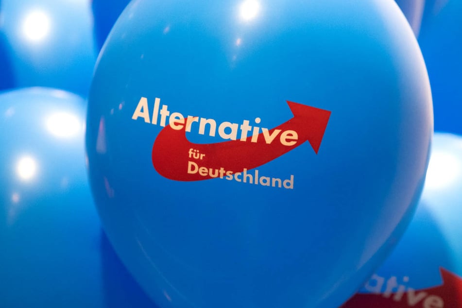 Die AfD hat mit ihrem Eilantrag selbst für den Verschluss der Einstufung gesorgt.