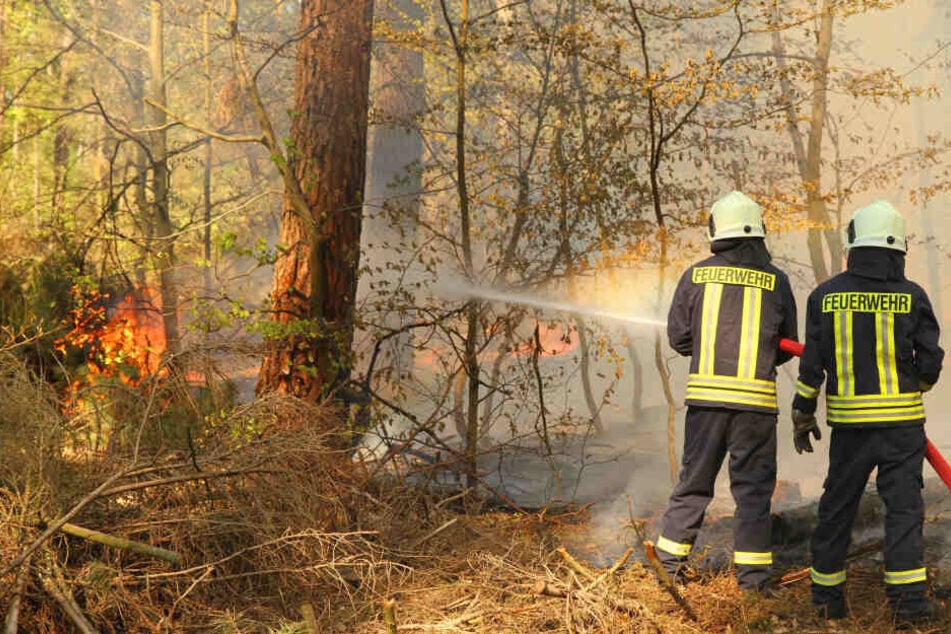 Auch die Waldbrandgefahr war extrem hoch. Das ging schon früh im Jahr los.