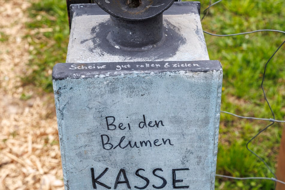 Blumen haben ihren Preis! Wer kein PayPal hat, kann vor Ort bar zahlen.