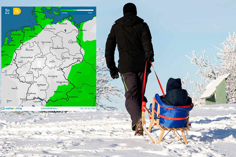 Die Chancen stehen gut, dass am Sonntag auf dem Großen Feldberg im Taunus gerodelt werden kann.