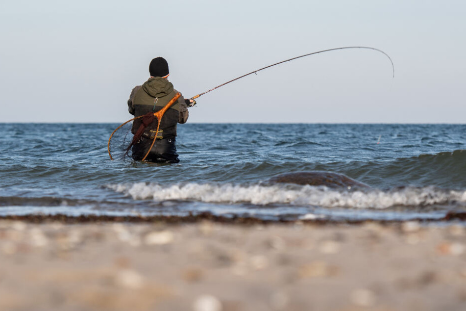 Ein Angler entdeckte den leblosen Körper in der Ostsee. (Symbolbild)