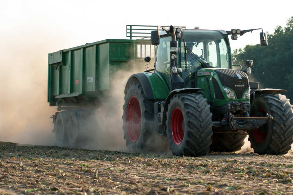 Die Ernte der meisten Feldfrüchte steht bald an und dürfte wegen der ausgeweiteten Lkw-Maut teurer werden (Archivfoto).