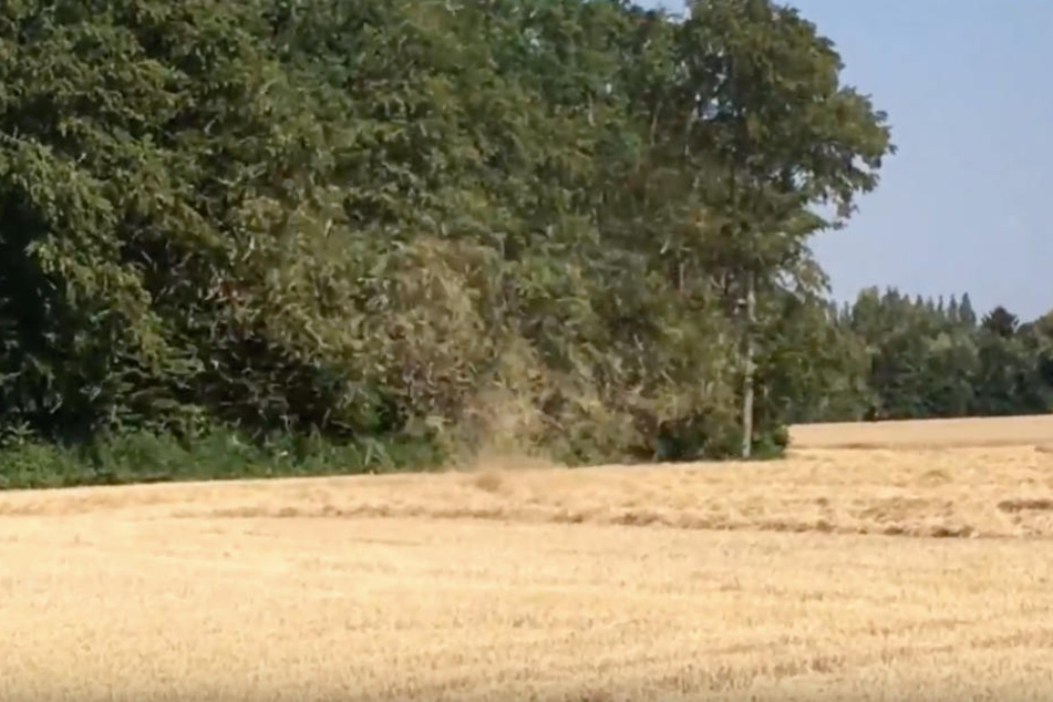 Ein Landwirt filmte, wie das Stroh durch die Luft gewirbelt wurde.