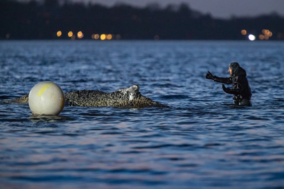 Robert Marc Lehmann (43) war gemeinsam mit weiteren Einsatzkräften stundenlang im eiskalten Wasser.