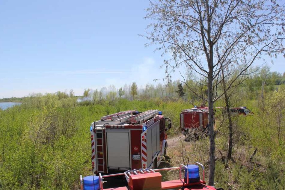 Zunächst musste sich die Feuerwehr durch unwegsames Gelände an die Brandstelle kämpfen.