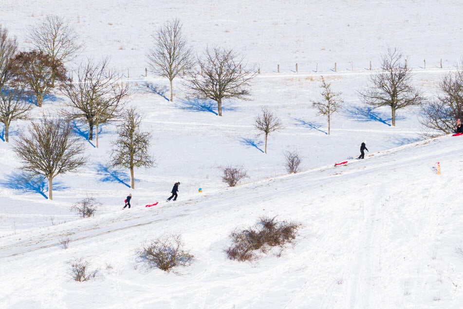 Schlittenfahren birgt Risiken, vor allem auf vollen Hängen. In diesem Fall beschäftigte ein Unfall sogar die Richter. (Symbolbild)