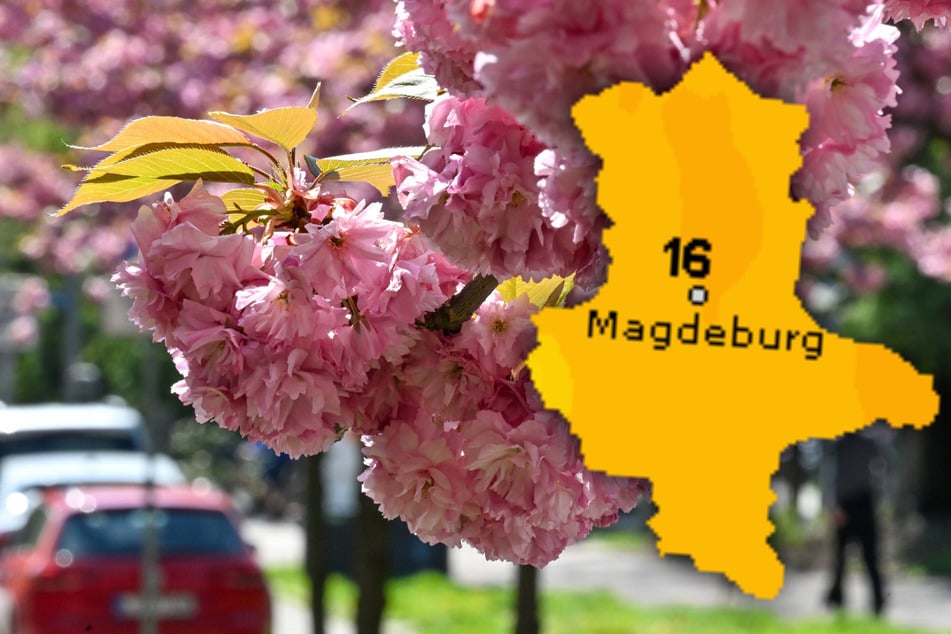 Es wird besser: Wieder mehr Sonne in Sachsen-Anhalt