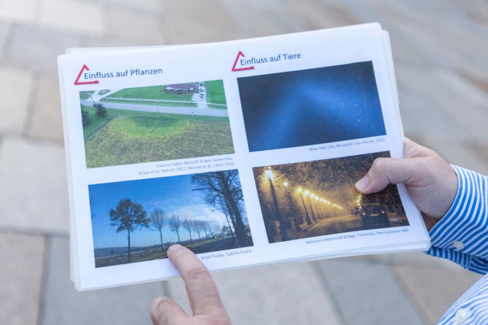 Kunstlicht stört den natürlichen Biorhythmus von Pflanzen und Tieren - mit verheerenden Umweltauswirkungen, betont Sicco Bauer.