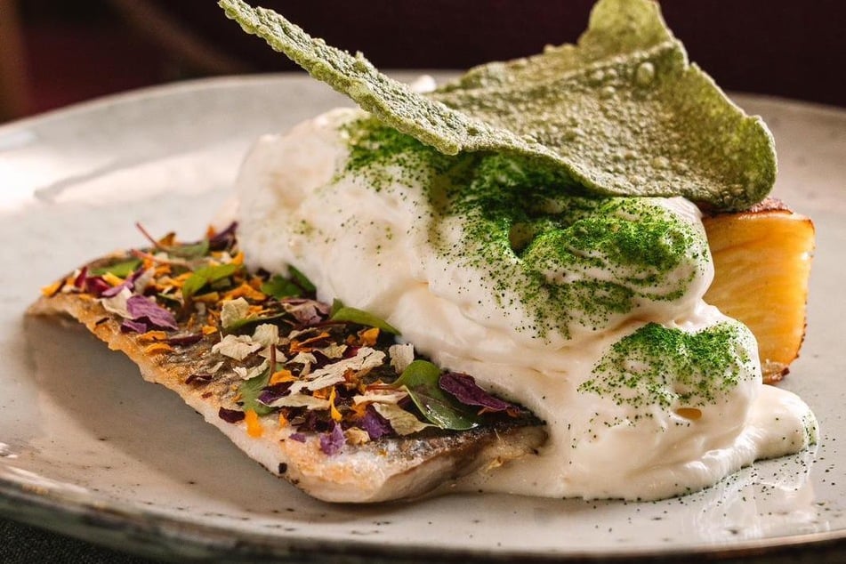 Wolfsbarsch mit Kartoffelgratin und Espuma aus Brie- und Pecorino-Käse