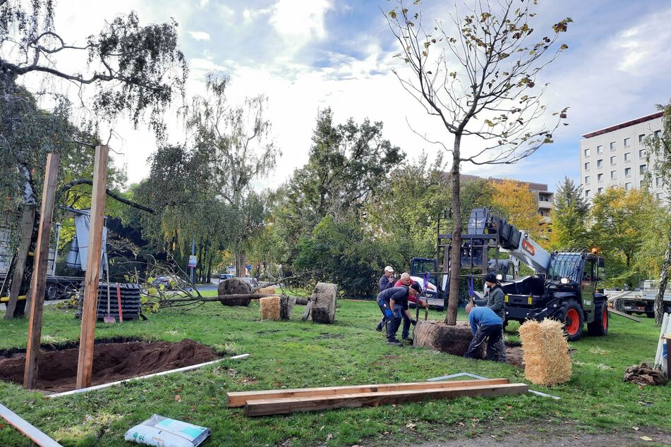 Kümmert sich um die Begrünung der Landeshauptstadt: Der Fonds StadtGrün.