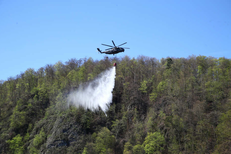 Auch Brände machten dem Wald in Thüringen immer wieder Probleme, wie hier an der Bleilochtalsperre.