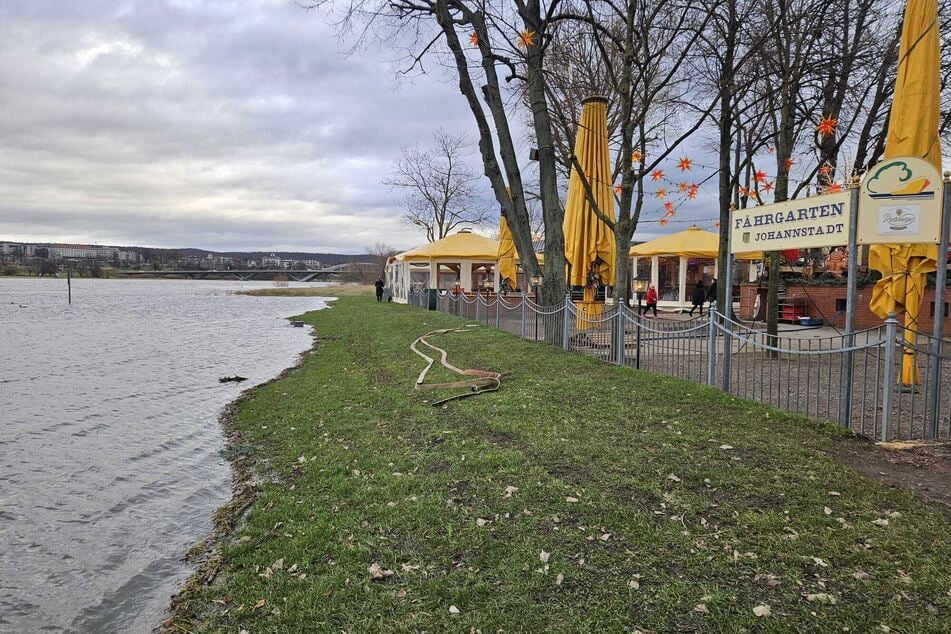 Für den Fährgarten in der Johannstadt wird es allmählich knapp. Der Fluss nähert sich.