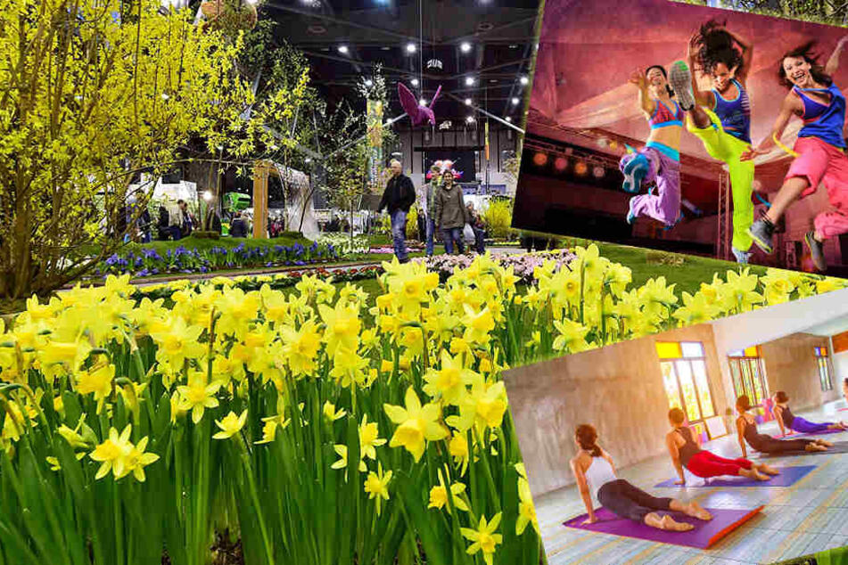 Hokzahuba Ich Bin Dann Mal Weg Dezember 2016