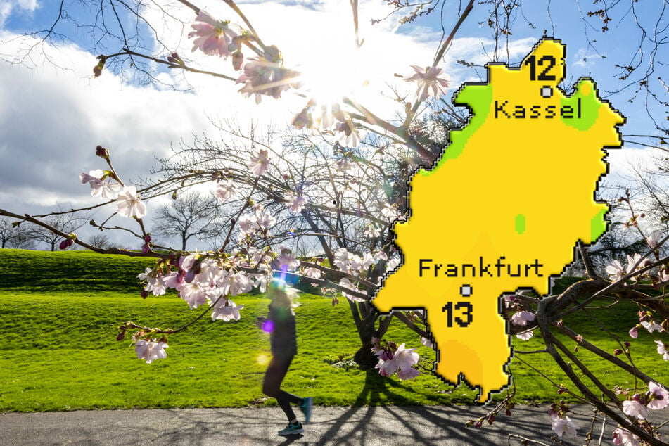 Frühlingsgefühle in Hessen: So sonnig wird das Wochenende bis zum Sonntag
