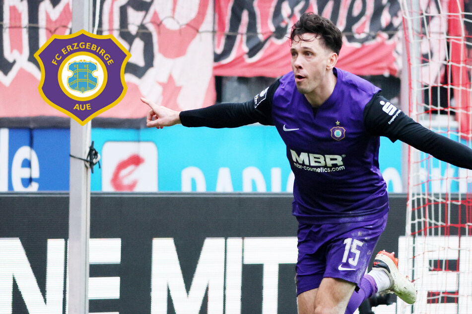 Bitter für die Veilchen: Bär kann auch im Pokalfinale nicht auflaufen