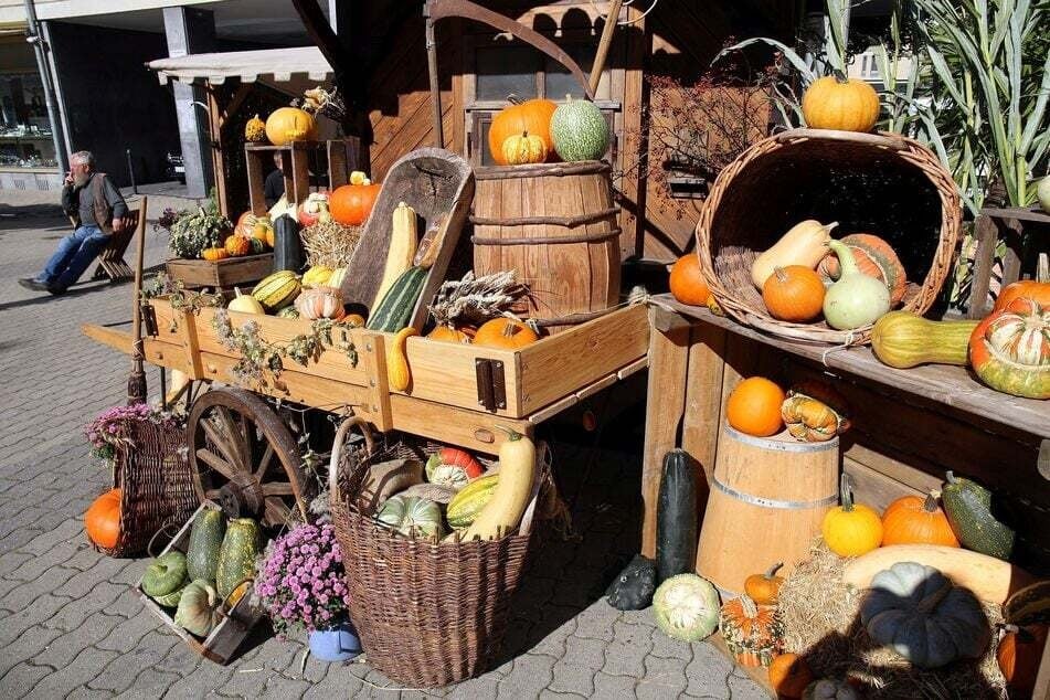 Für eine ordentliche Portion Herbst-Feeling sorgen am Wochenende die Markttage in der Innenstadt.