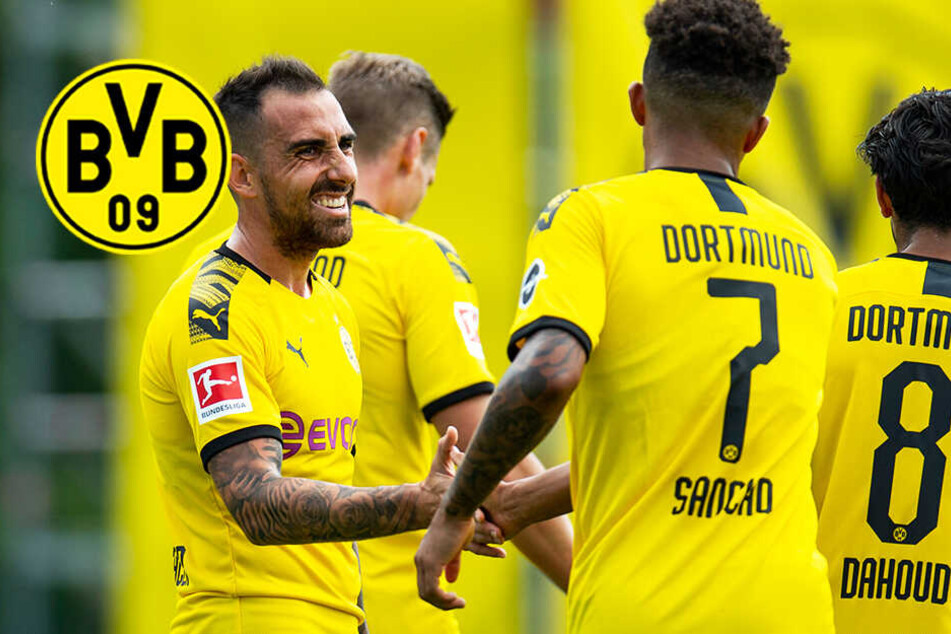 Bvb Form Bvb Form