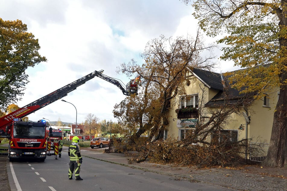 Ein Baum stürzte auf die ehemalige Gaststätte "Goldbachschenke".