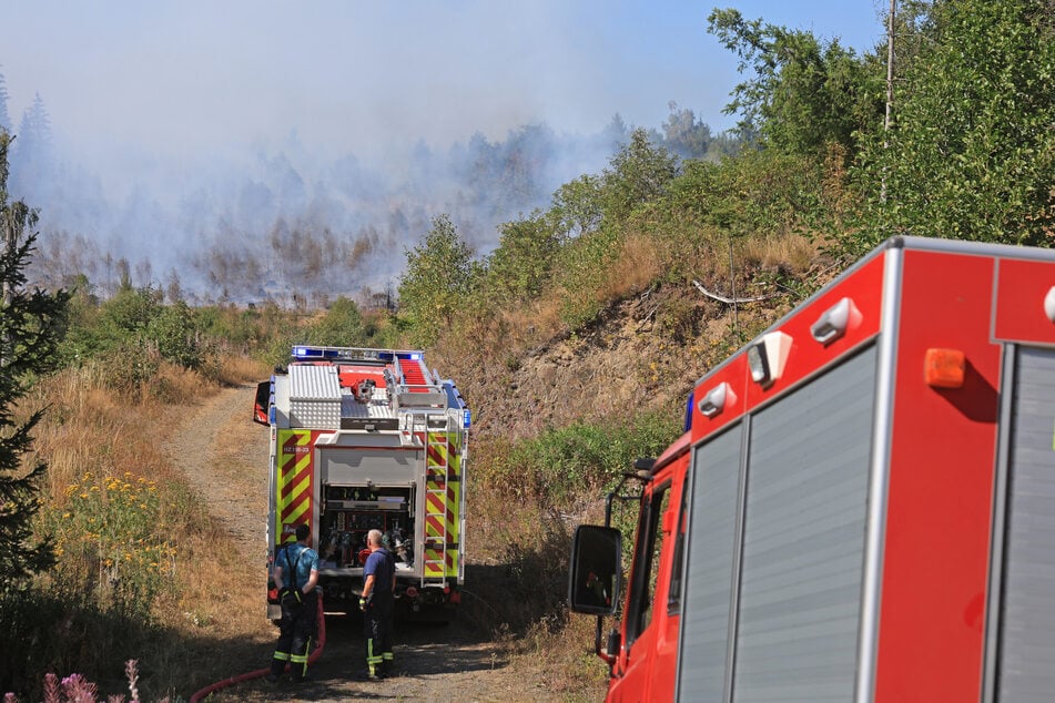 Der Waldbrand in Benneckenstein im Harz konnte endlich gelöscht werden.