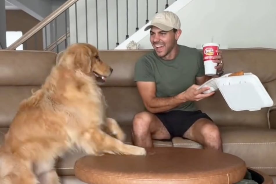 Golden Retriever Maverick versucht es bei seinem Herrchen auf die charmante Art. Corey Moriarty kann darüber zumindest lachen.