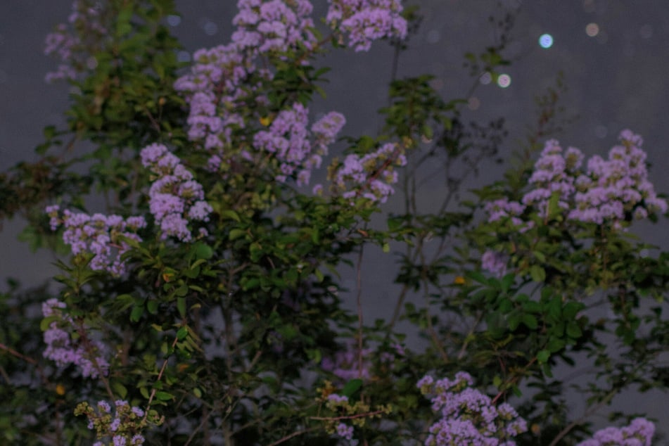 Your personal and free daily horoscope for Wednesday, 5/6/2026.